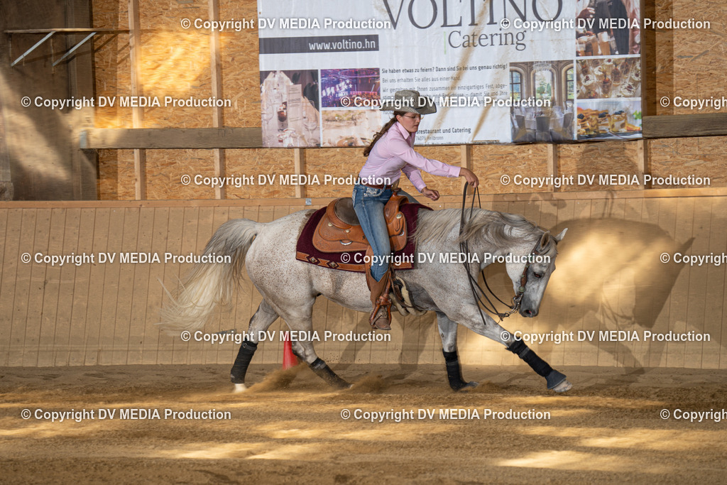 DSC00517 | dv-media-shop - Realisiert mit Pictrs.com