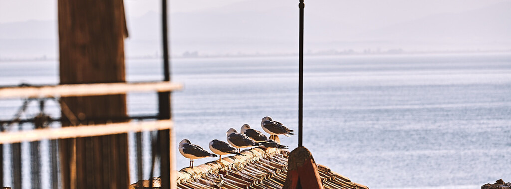 _T6A9255 | prints.tavailable-light.de - Realisiert mit Pictrs.com