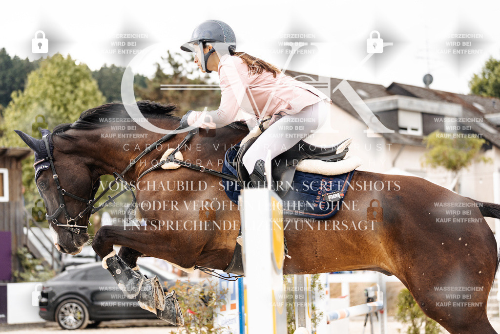 CK906309 | Turnierfotografie Pferdefotografie Trier Rheinland-Pfalz Pferdesport Reitsport Tierfotografie Sportfotografie Pferdevideo Pferdevideografie Equestrianvideography equestrianphotography  - Realisiert mit Pictrs.com