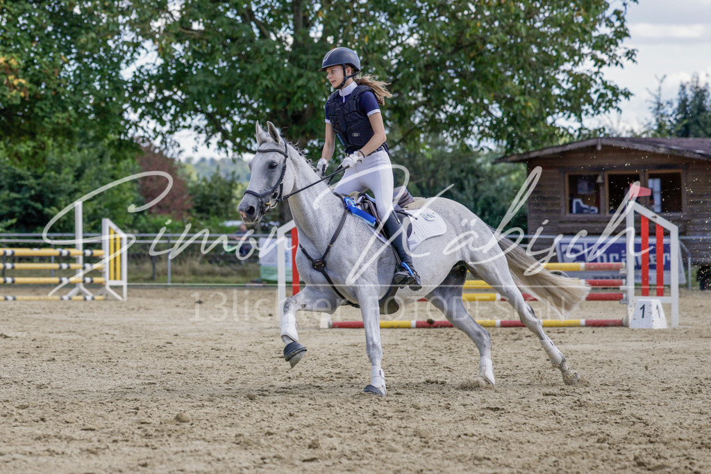 20250906-_3LI6657 | Tierfotografie Pferde, Hunde, Katzen, Haustiere.
Turnierfotografie Reitturniere, Reiten, Springreiten, Dressur in Hanau, dem Main-Kinzig-Kreis und dem Rhein-Main- Gebiet um Frankfurt