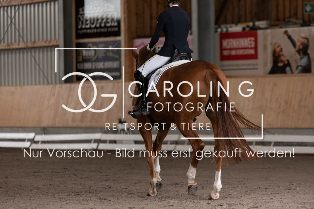 DSC_3454 | Turnierfotografin Carolin Gieschke, Turnierfotografie Carolin G Fotografie, Turnierfotos Kirchheim/Teck, Esslingen, Stuttgart, Bodenseekreis