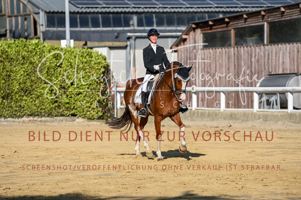 Schugtsche-Aluta25-51.Dressurpferdeprf.M-68 | Schugtsche Fotografie - Realisiert mit Pictrs.com