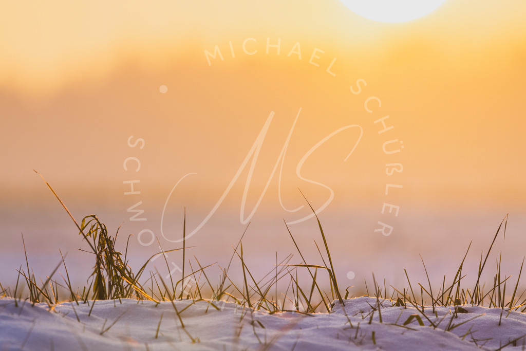 Wenn die Sonne den Schnee erleuchtet | Schwotte Media - Realisiert mit Pictrs.com