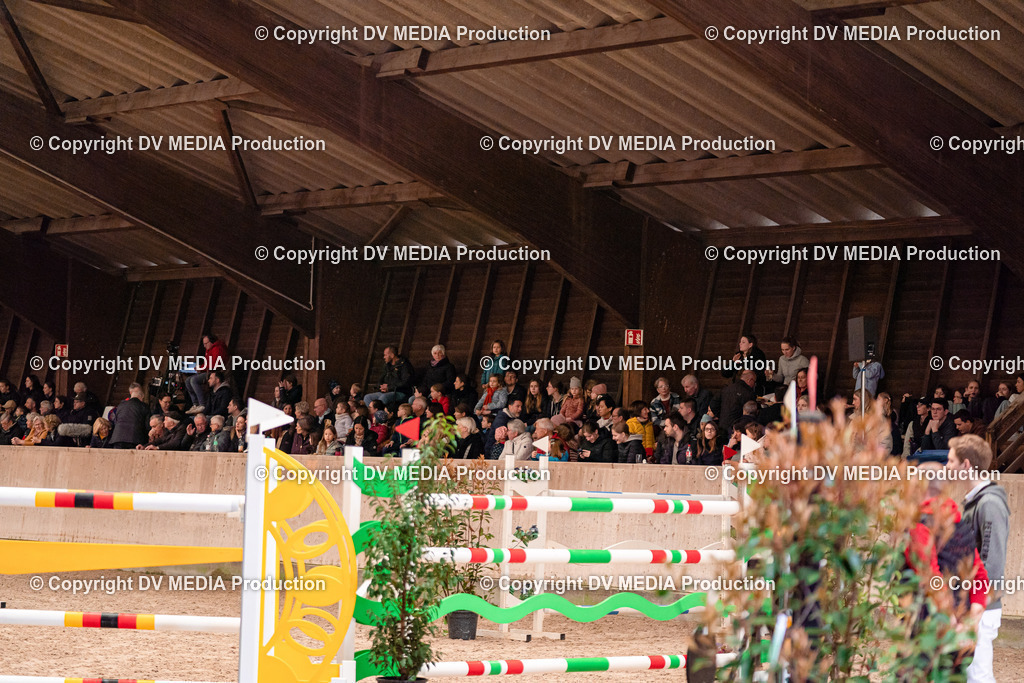 Springen Tag 3-487 | dv-media-shop - Realisiert mit Pictrs.com