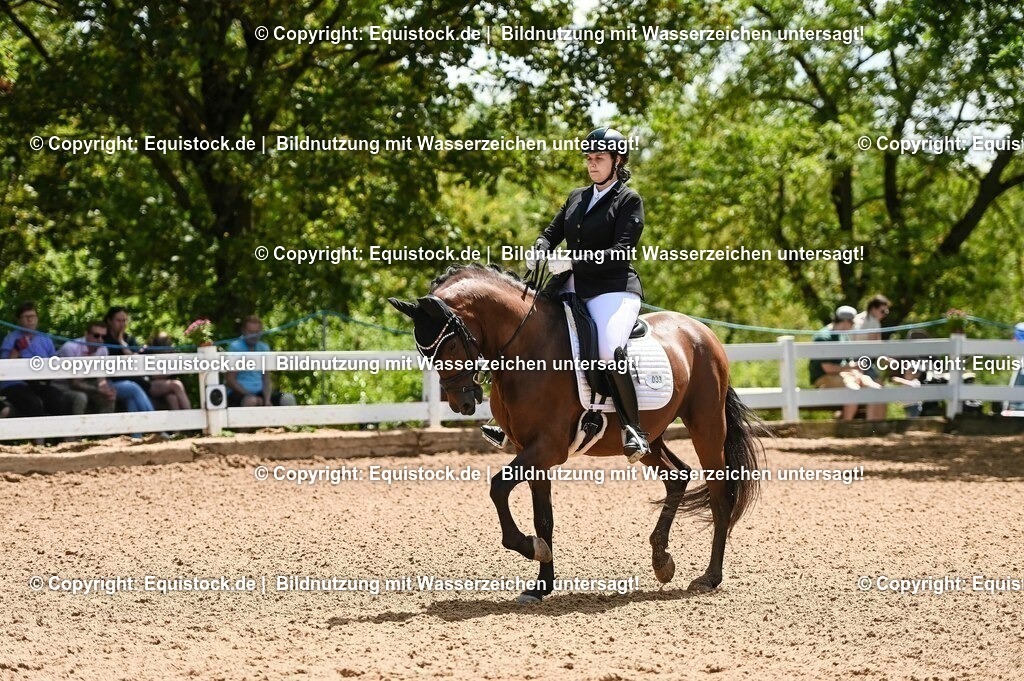 20230716_03_Dressurprfg. Kl.L - Tr._0104 | equistock