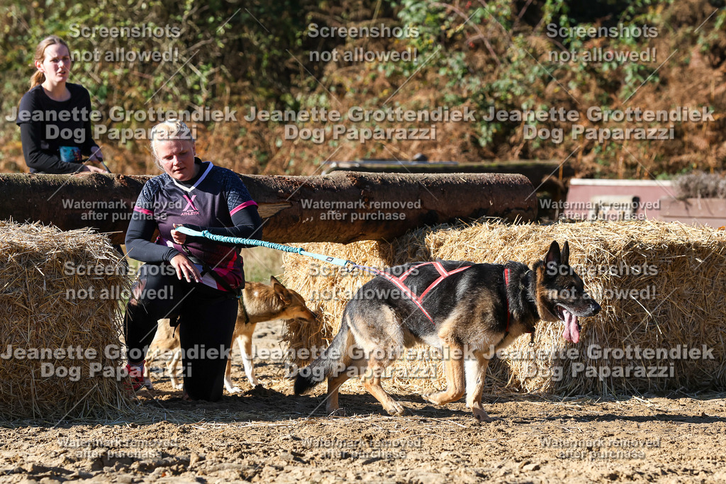 Dog Paparazzi - Strongdog 10-25-2367 | Dog Paparazzi Jeanette Grottendiek Fotografie & Videografie - Realisiert mit Pictrs.com