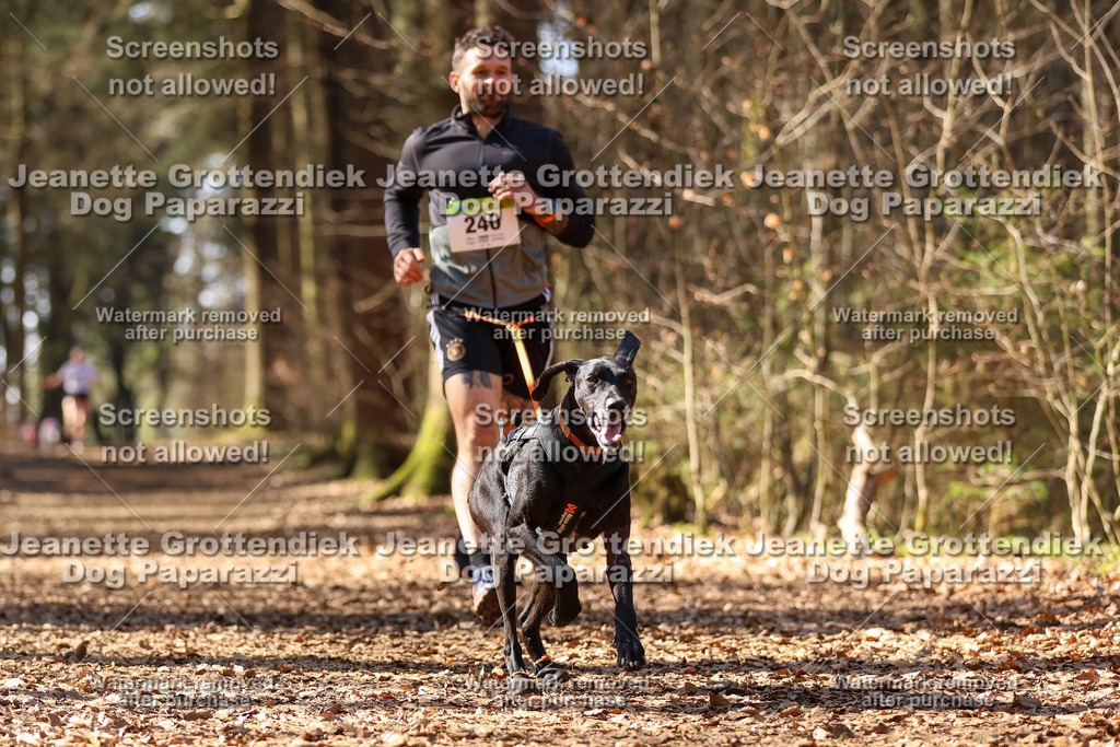 Dog Paparazzi - VCC26-1131 | Dog Paparazzi Jeanette Grottendiek Fotografie & Videografie - Realisiert mit Pictrs.com