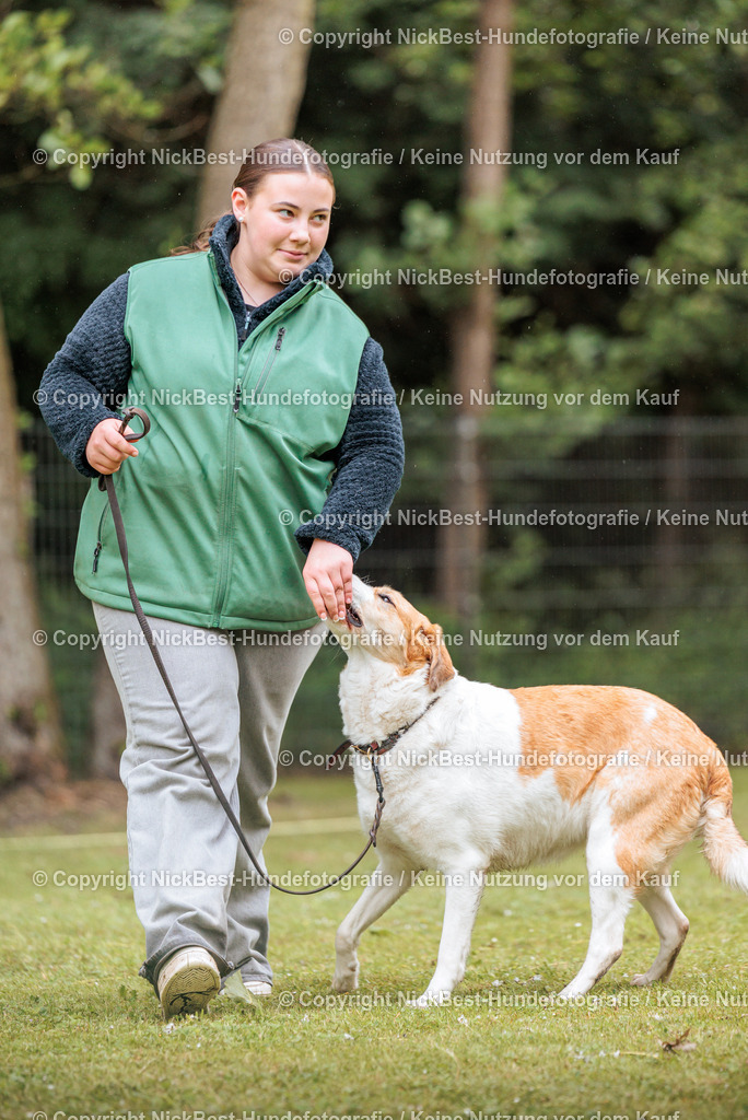 RO-Blumenthal-2026-Nickbest-Hundefotografie-4097 | Dein Hund! Dein Moment! Deine Erinnerungen! Hundefotografie in Bremen Blumenthal. Ich fange die besonderen Momente deines Vierbeiners ein – ob Indoor mit Blitzanlage oder in der freien Natur. Sicher dir dein Moment und dein Termin für eure Erinnerungen.