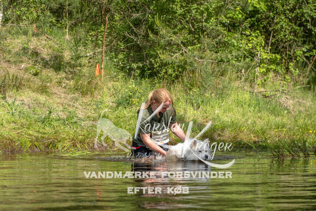 0951DKK9_ZZ93567 | kk-dogfotos