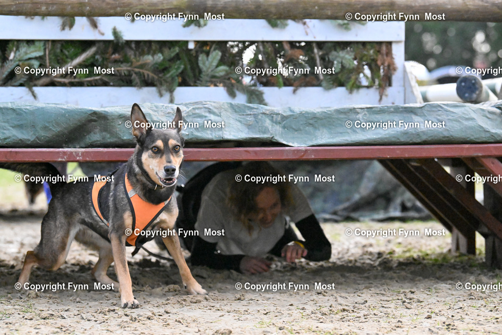 DSC_6061 | Hallo und herzlich Willkommen auf meiner Shop-Seite Fynn Most.

Ich wünsche Dir viel Spaß beim stöbern durch die Bilder, wenn Du Fragen hast oder Bilder vermisst, kannst du mir gerne eine Nachricht schreiben. - Realisiert mit Pictrs.com