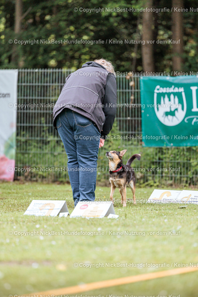 RO-Blumenthal-2026-Nickbest-Hundefotografie-4480 | Dein Hund! Dein Moment! Deine Erinnerungen! Hundefotografie in Bremen Blumenthal. Ich fange die besonderen Momente deines Vierbeiners ein – ob Indoor mit Blitzanlage oder in der freien Natur. Sicher dir dein Moment und dein Termin für eure Erinnerungen.
