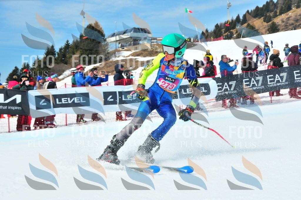 DSC_6307 | holidayphoto