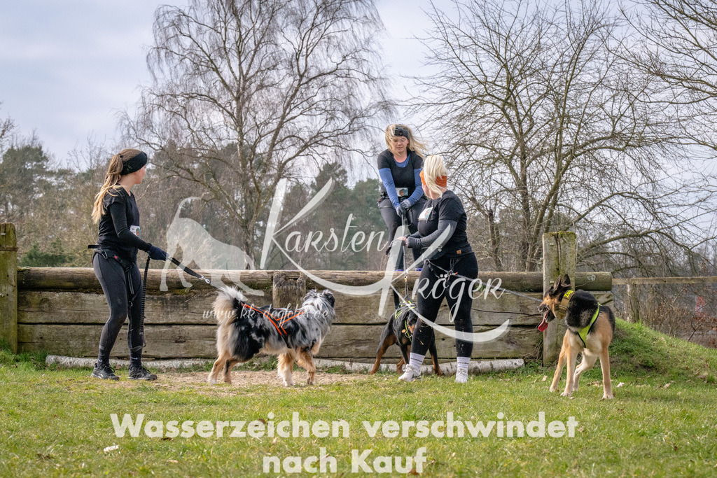_ZZ91918 | kk-dogfotos
