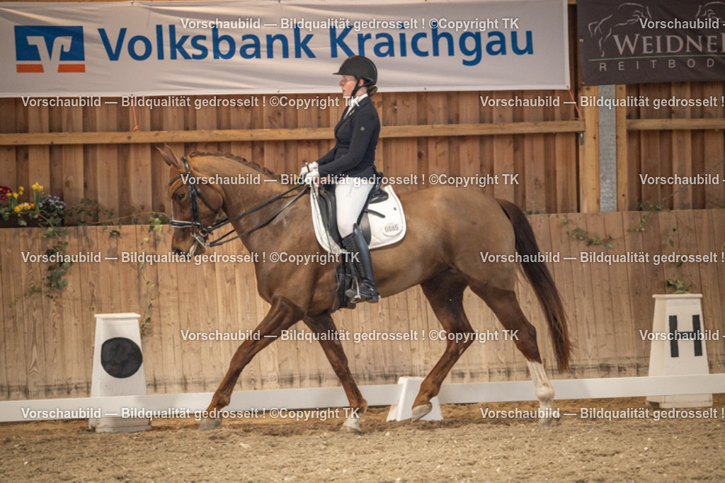 _D5A9400 | Emotionale Pferde- & People-Fotografie rund um Heidelberg, Leimen & Umgebung. Natürliche Fotos von Pferd, Mensch & Familie. Jetzt Termin sichern!