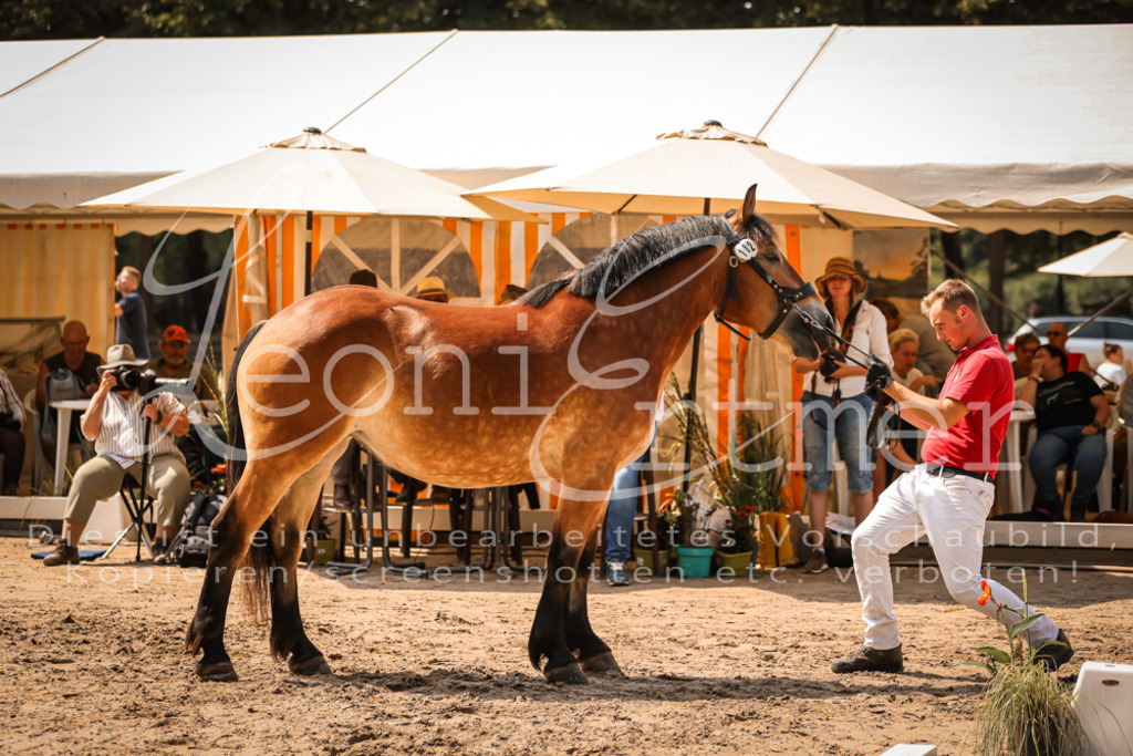 2.Sa00006 | Leoni Ertmer Photography - Realisiert mit Pictrs.com