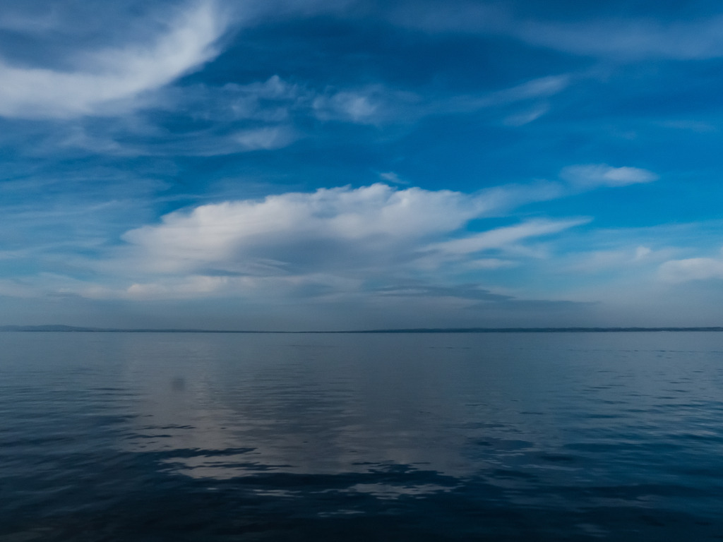 PSX_20230318_235928 | mtkfoto_ - Realisiert mit Pictrs.com