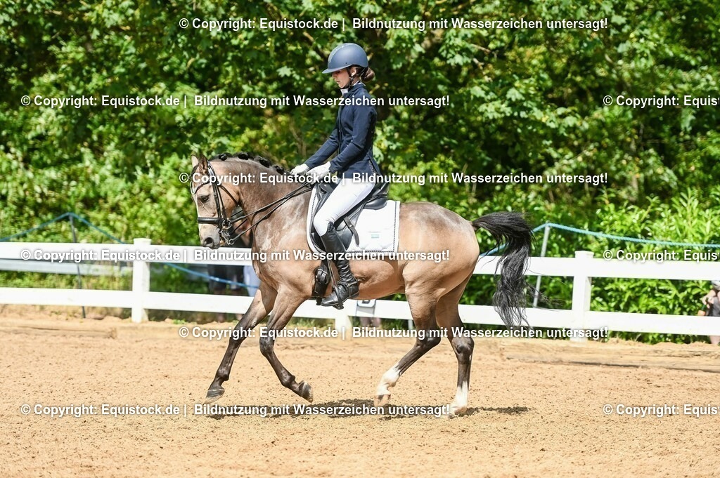 20230716_01_Dressurprüfung Kl.M_0220 | equistock