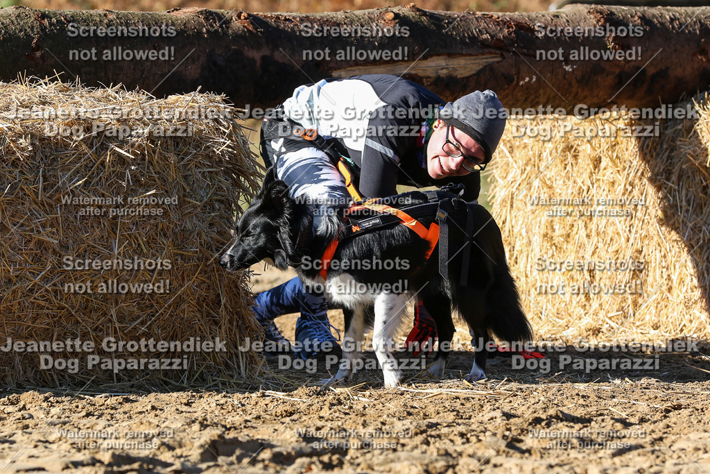 Dog Paparazzi - Strongdog 10-25-1867 | Dog Paparazzi Jeanette Grottendiek Fotografie & Videografie - Realisiert mit Pictrs.com