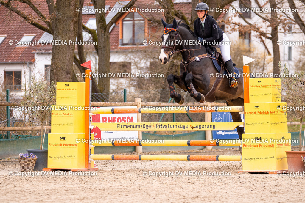 Kranichstein Tag 2-263 | dv-media-shop - Realisiert mit Pictrs.com