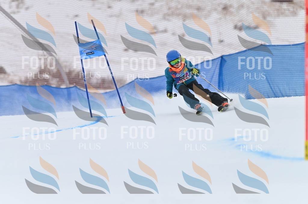 BGV_2392 | holidayphoto