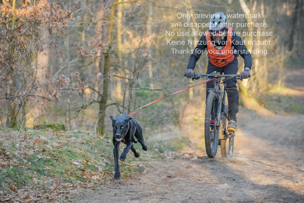 Sa_Bike-138 | stephaniefillaphotographie - Realisiert mit Pictrs.com