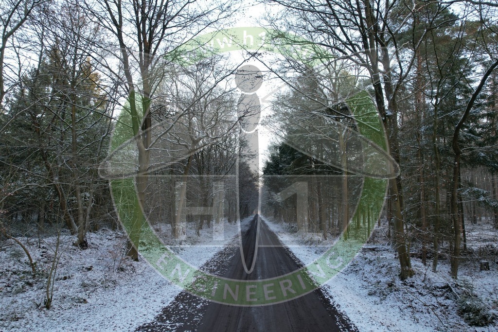 Wald Ruschwedel 1 | h1media - Realisiert mit Pictrs.com