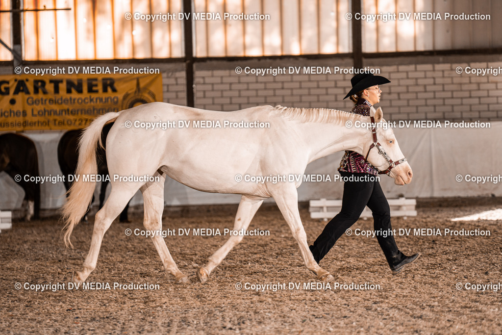 ZH100020 | dv-media-shop - Realisiert mit Pictrs.com