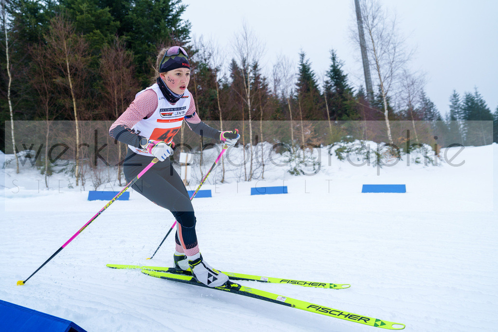 DSC Arber | Bayerischer Wald am 9. bis 12. Februar 2023
