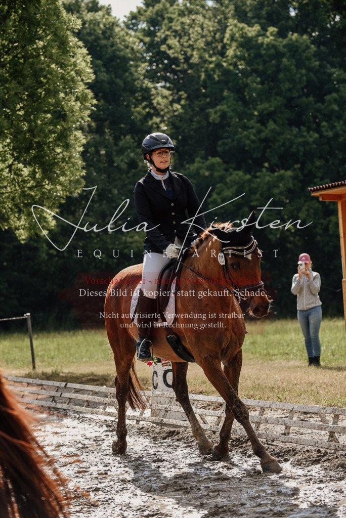 DSC_8896 | Pferde- und Turnierfotografie in Westsachsen. Pferdeportraits, Auftragszeichnungen und intuitive Kunst.