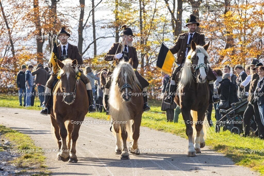 LBT24-1150 | foto-bettina-krinner - Realisiert mit Pictrs.com