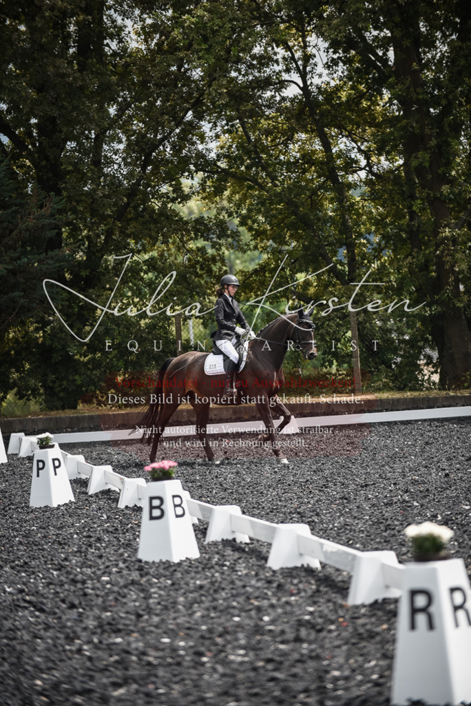 DSC_4680 | Pferde- und Turnierfotografie in Westsachsen. Pferdeportraits, Auftragszeichnungen und intuitive Kunst.