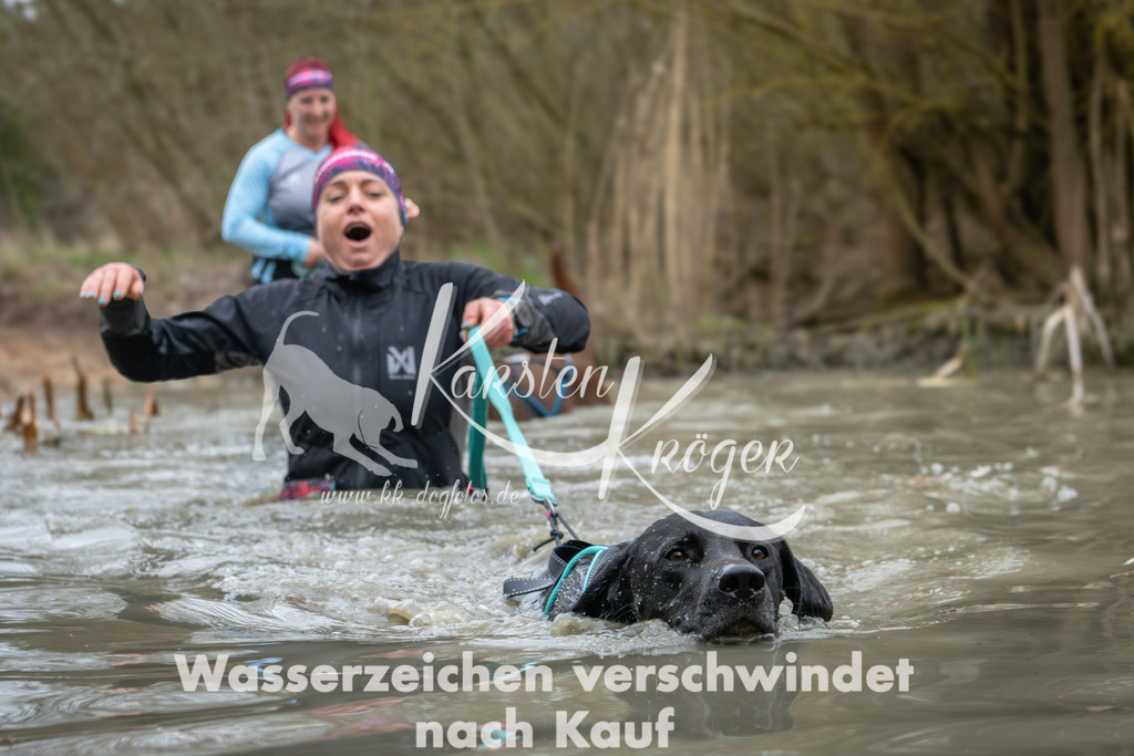 1340_ZZ91536 | kk-dogfotos