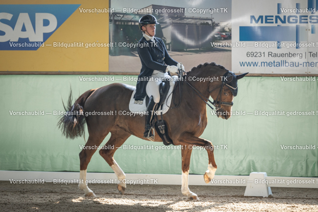 _D5A9341 | Emotionale Pferde- & People-Fotografie rund um Heidelberg, Leimen & Umgebung. Natürliche Fotos von Pferd, Mensch & Familie. Jetzt Termin sichern!