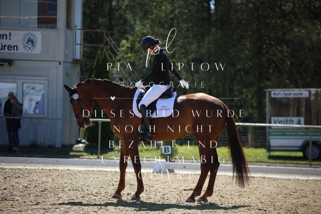 IMGT0770 | pl-fotografie