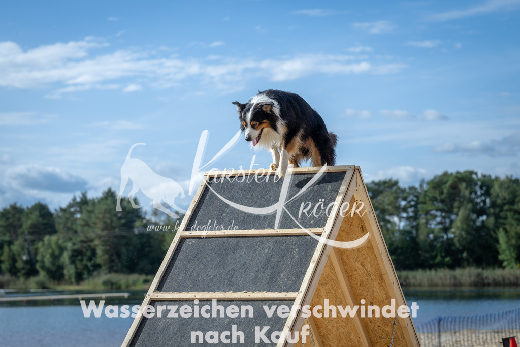 1431_ZZ91458 | kk-dogfotos