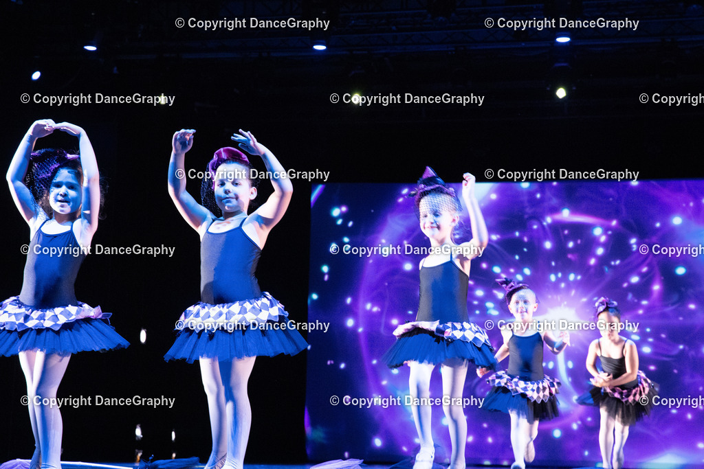 GPHY6278 | DanceGraphy - Realisiert mit Pictrs.com