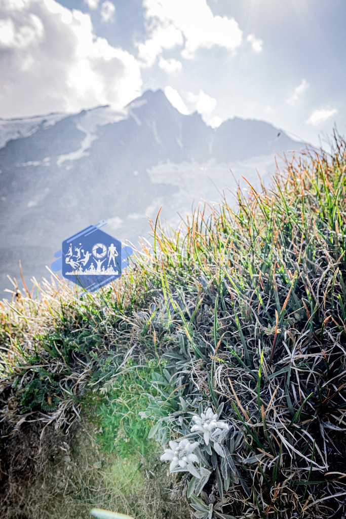 IMG_2678-HDR | SportEventFotografie - Roman Stoiber