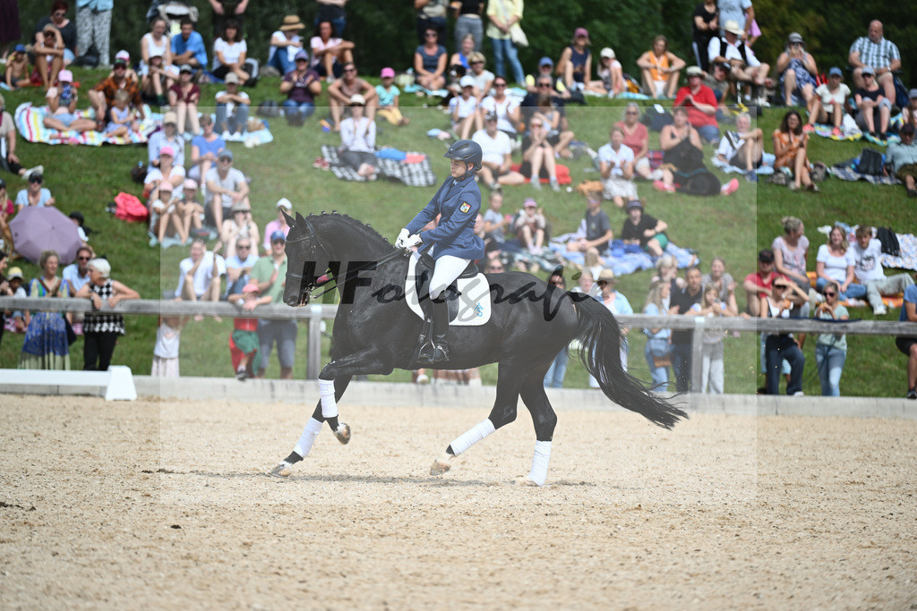 Hengste im Sport_36240212 | hf-fotografie - Realisiert mit Pictrs.com