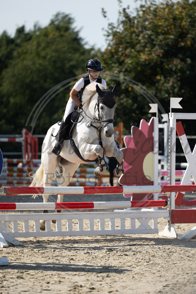 994A1845 | sabrinanicolaifotografie - Realisiert mit Pictrs.com