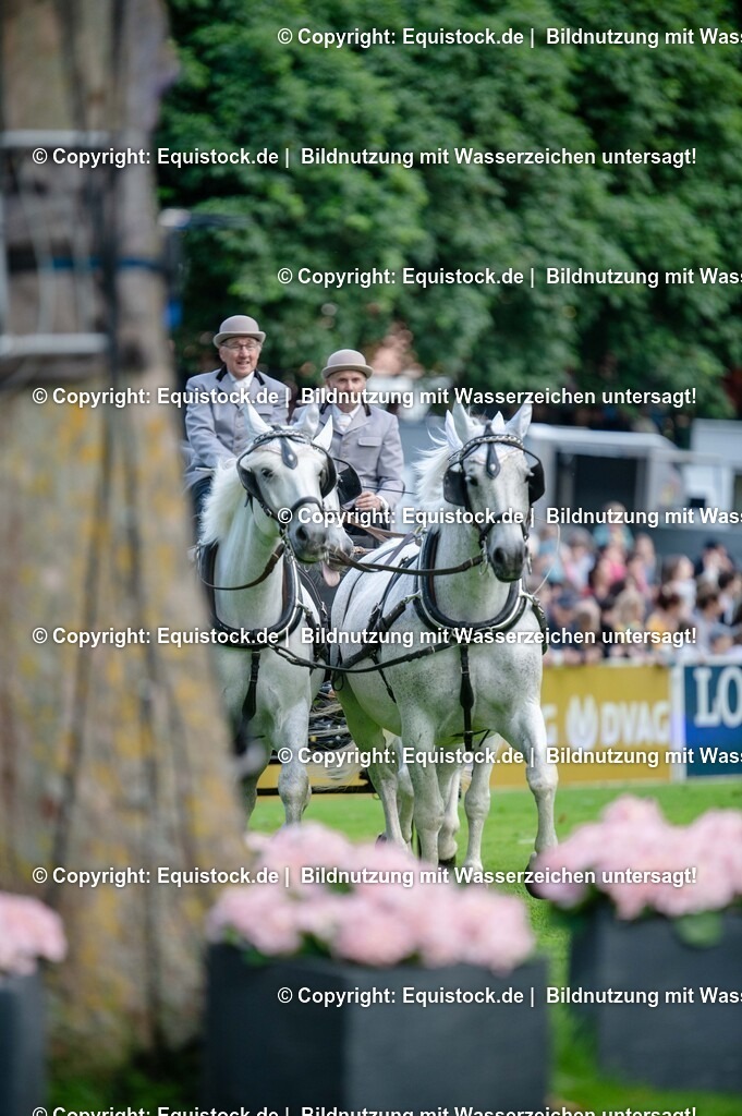 20250606_Lange-Pferdenacht_0103 | Foto: Thomas Hartig
