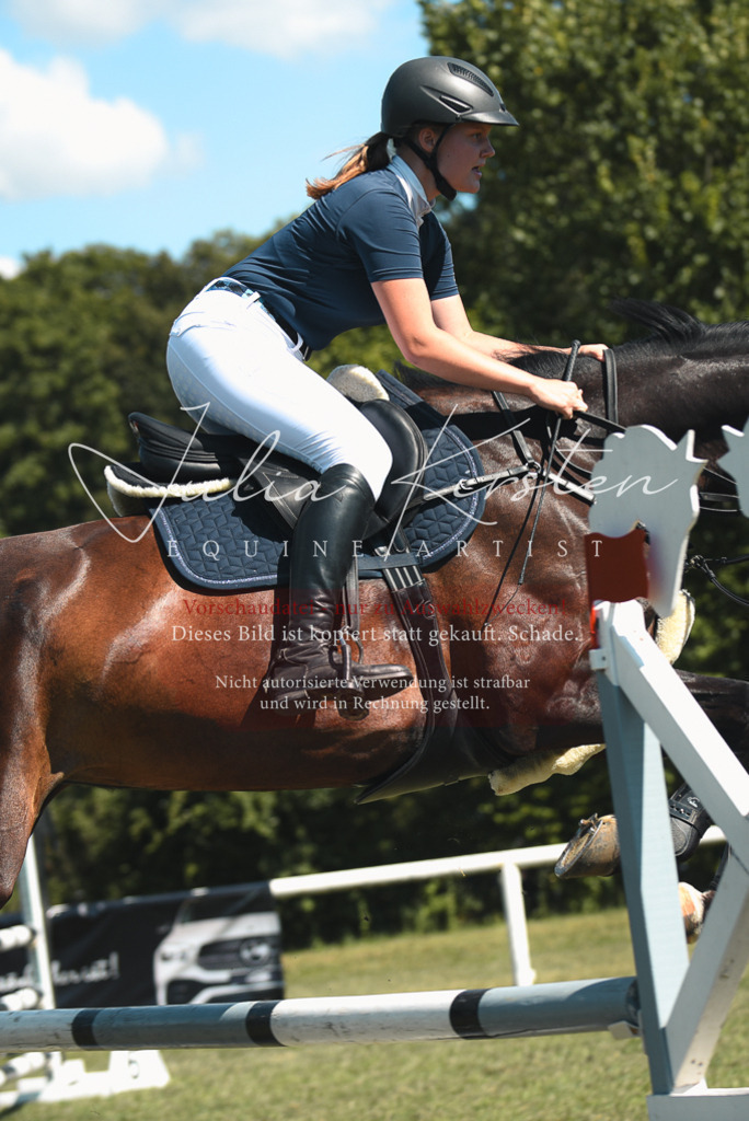 DSC_7015 | Pferde- und Turnierfotografie in Westsachsen. Pferdeportraits, Auftragszeichnungen und intuitive Kunst.
