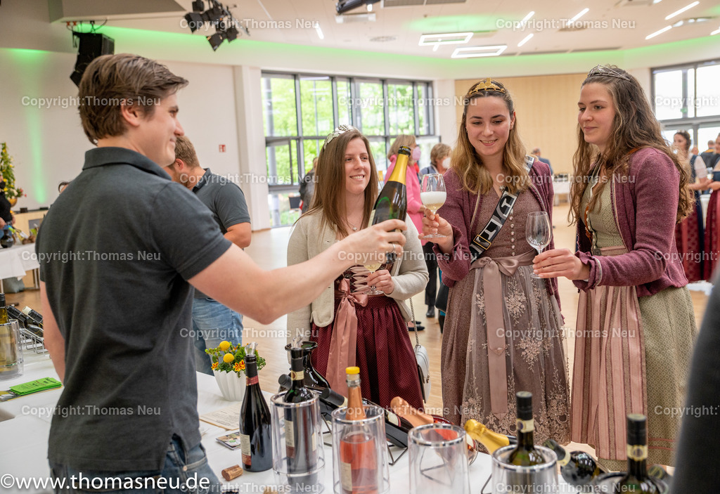 DSC_7800 | Der Bergsträßer Weintreff ist traditionell die Auftaktveranstaltung für den Bergsträßer Weinfrühling. Alljährlich April  bietet der Weintreff im Bürgerhaus Bensheim die einmalige Gelegenheit, fast 170 Bergsträßer Weine, Seccos und Sekte von 19 Weinbaubetrieben an einem Ort zu probieren. Nahezu alle Bergsträßer Betriebe sind vertreten und bieten ihre Spezialitäten an. Bild: Thomas Neu