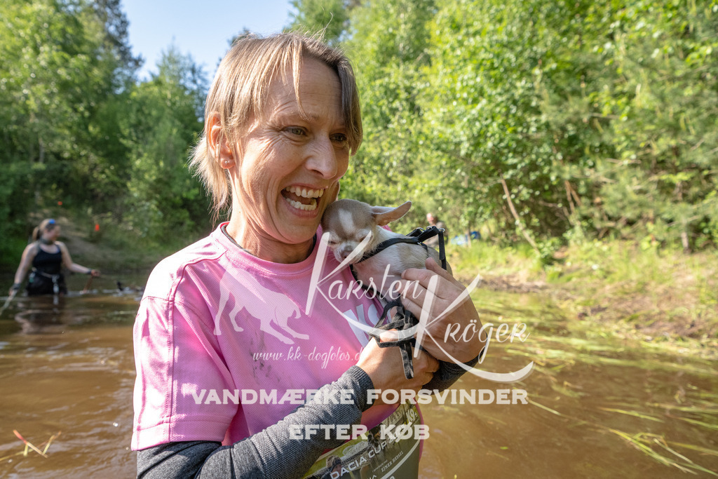 1716DKK991968 | kk-dogfotos