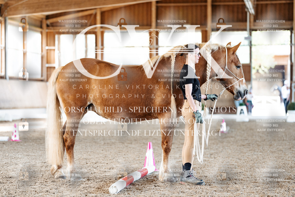 CK905945 | Turnierfotografie Pferdefotografie Trier Rheinland-Pfalz Pferdesport Reitsport Tierfotografie Sportfotografie Pferdevideo Pferdevideografie Equestrianvideography equestrianphotography  - Realisiert mit Pictrs.com