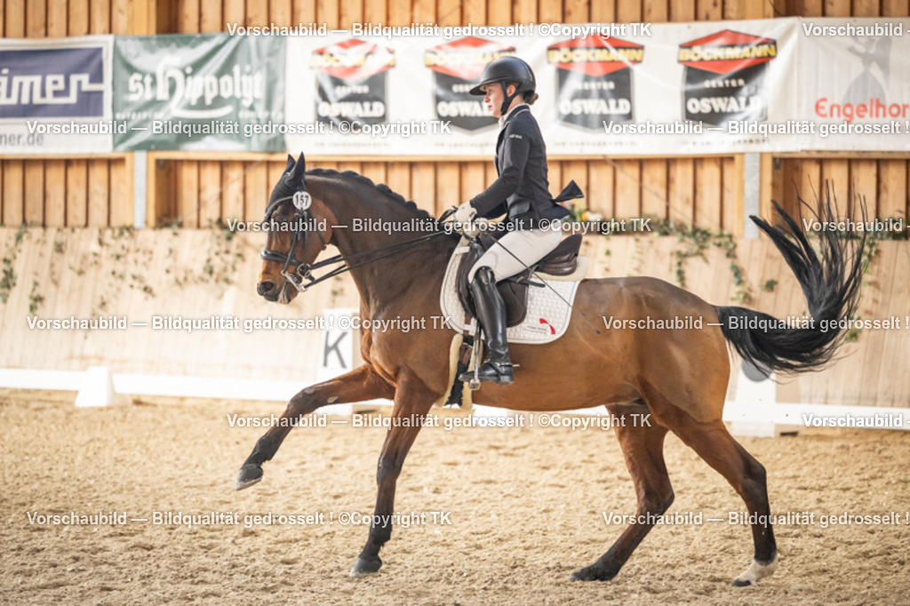 _D5A9141 | Emotionale Pferde- & People-Fotografie rund um Heidelberg, Leimen & Umgebung. Natürliche Fotos von Pferd, Mensch & Familie. Jetzt Termin sichern!