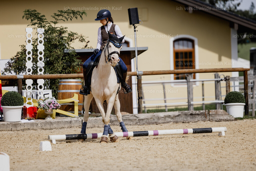 Nici11_FHC2025-20010 | working equitationturnier fotograf videograf stoibphotography marixx film working equitation deutschland reitsport turnierfotografie eventfotografie equestrian events