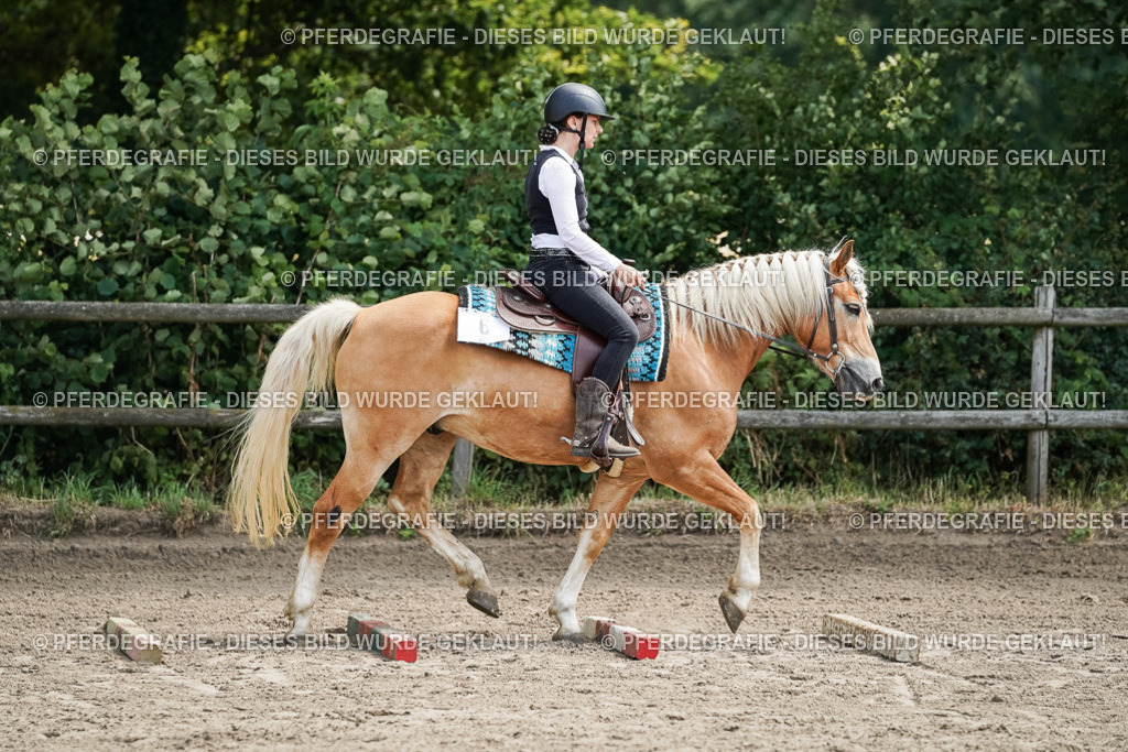 DSC07151 | Pferdegrafie