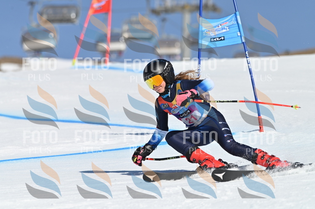 BGV_7959 | holidayphoto