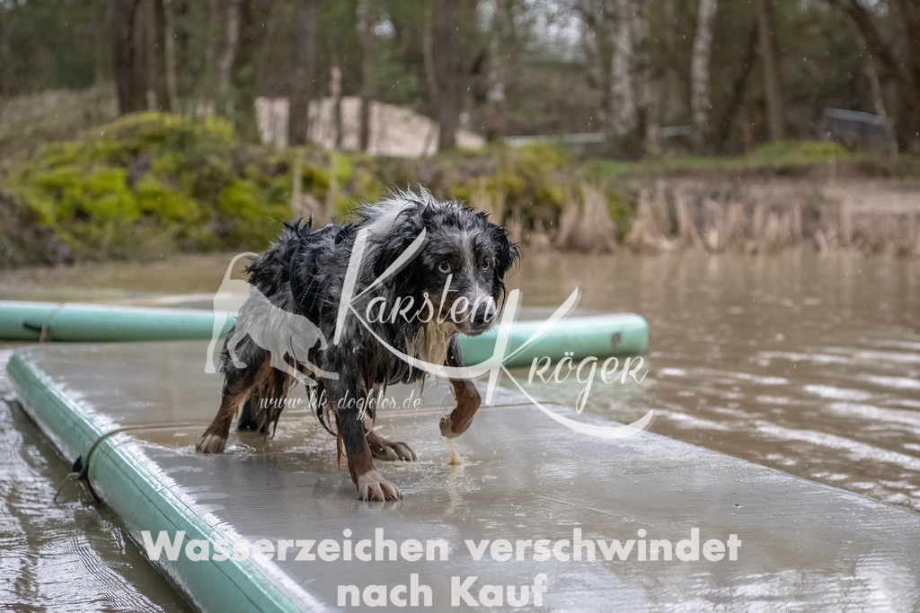 0922_ZZ90721-Bearbeitet | kk-dogfotos