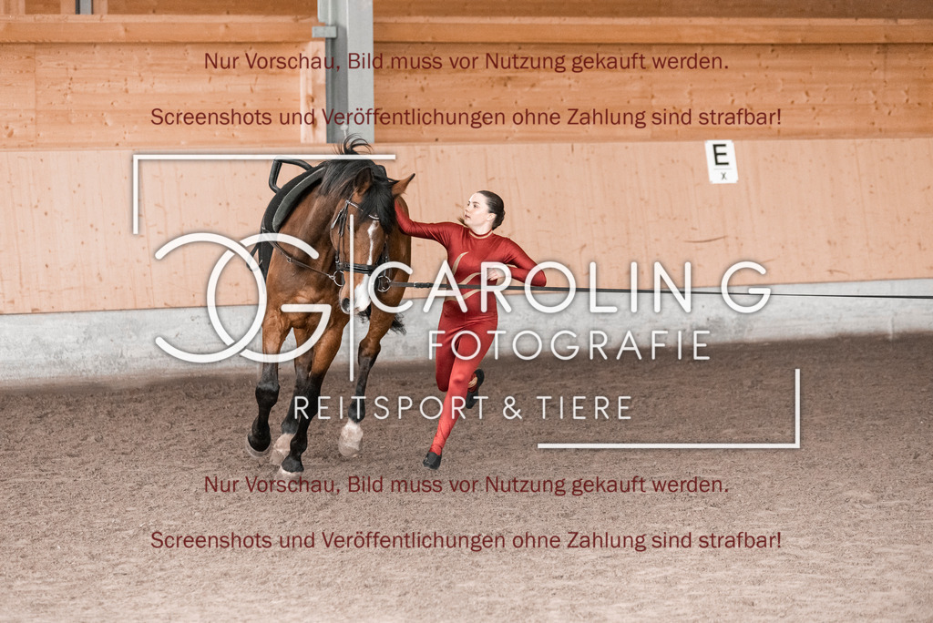 DSC_1997 | Turnierfotografin Carolin Gieschke,Reitsport Turnierfotografie Carolin G Fotografie | Turnierfotos aus Kirchheim/Teck, Esslingen, Stuttgart und dem Bodenseekreis